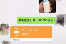 枣阳为什么选择专业追讨公司来处理您的债务纠纷？